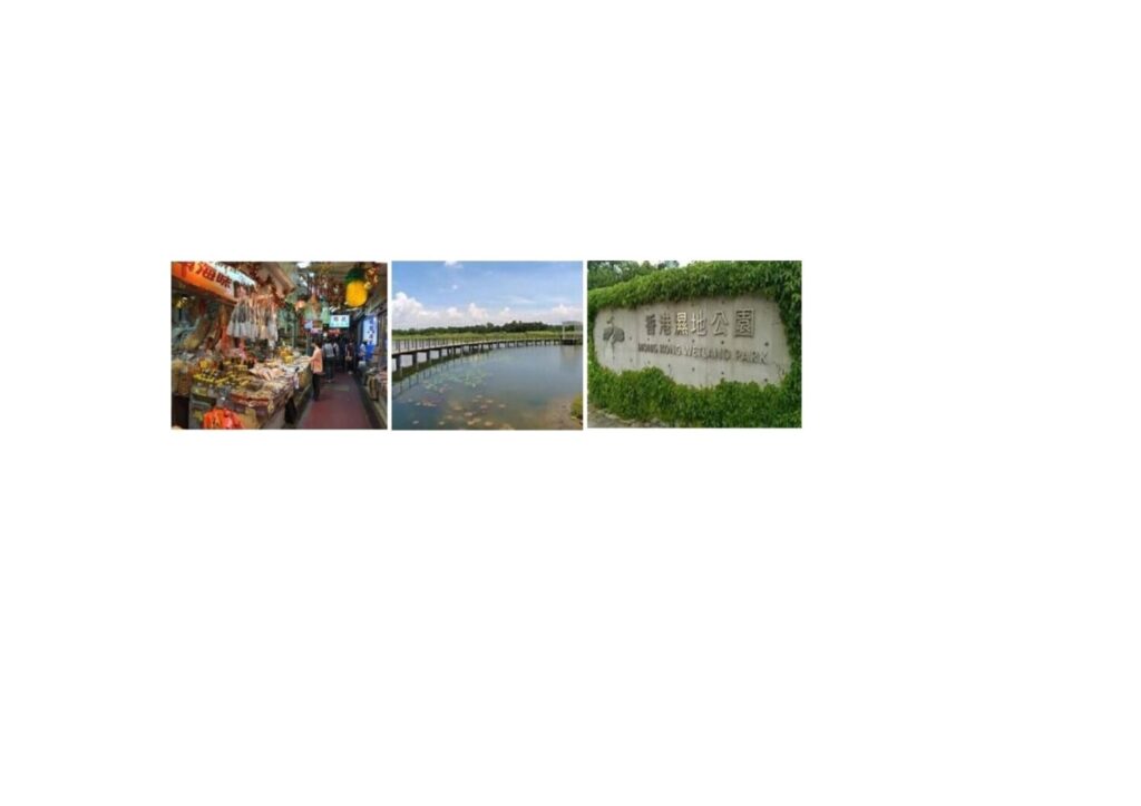 濕地公園